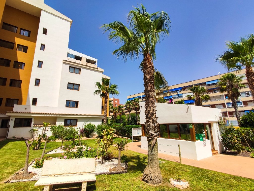 Apartment in Punta Prima, Alicante, Spain 2 bedrooms, 95 sq.m. No. 145430
