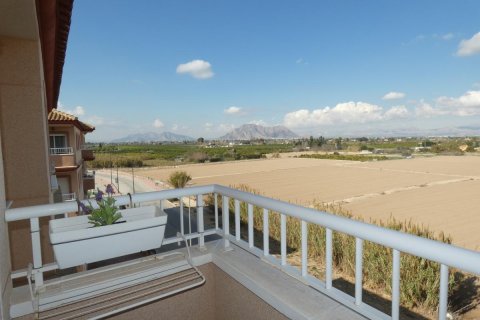 Apartment in Algorfa, Alicante, Spain 1 bedroom,  No. 183818
