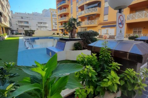 Apartment in Torrevieja, Alicante, Spain 3 bedrooms, 1 sq.m. No. 183816