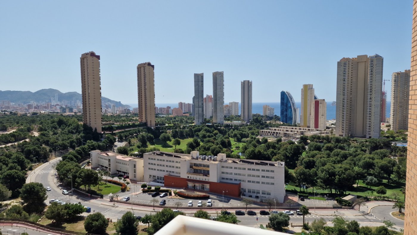 Apartment in Benidorm, Alicante, Spain 1 bedroom,  No. 183558