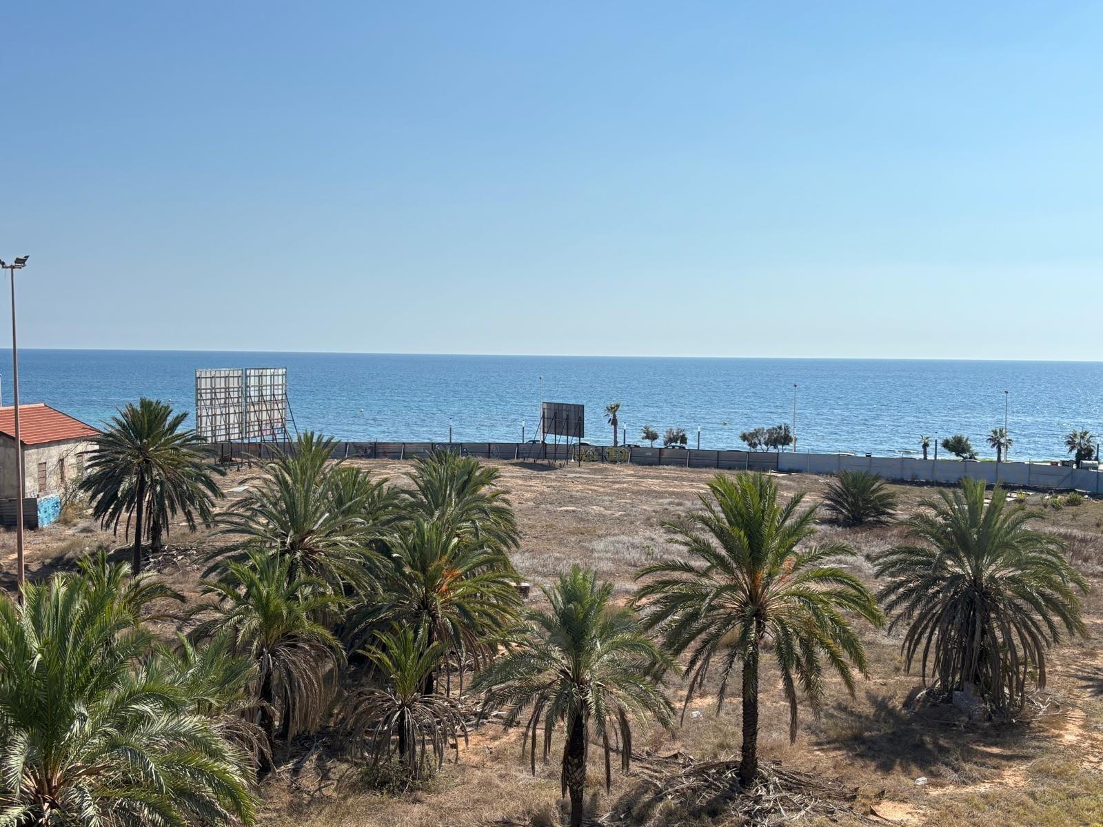 Apartamento en Torrevieja, Alicante, España 1 dormitorio,  No. 148783