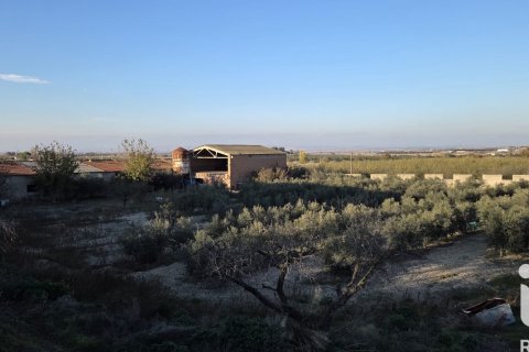 Zemes gabals Spānijā 6260 m2 Nr. 185461