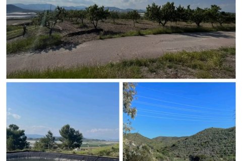 Commercial property in Lorca, Murcia, Spain No. 185462