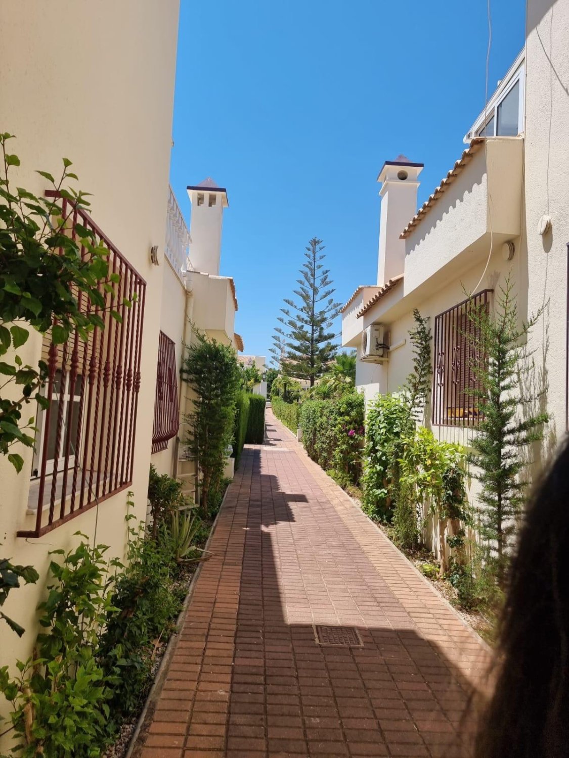 Apartment in Los Balcones, Alicante, Spain 2 bedrooms, 68 sq.m. No. 184385