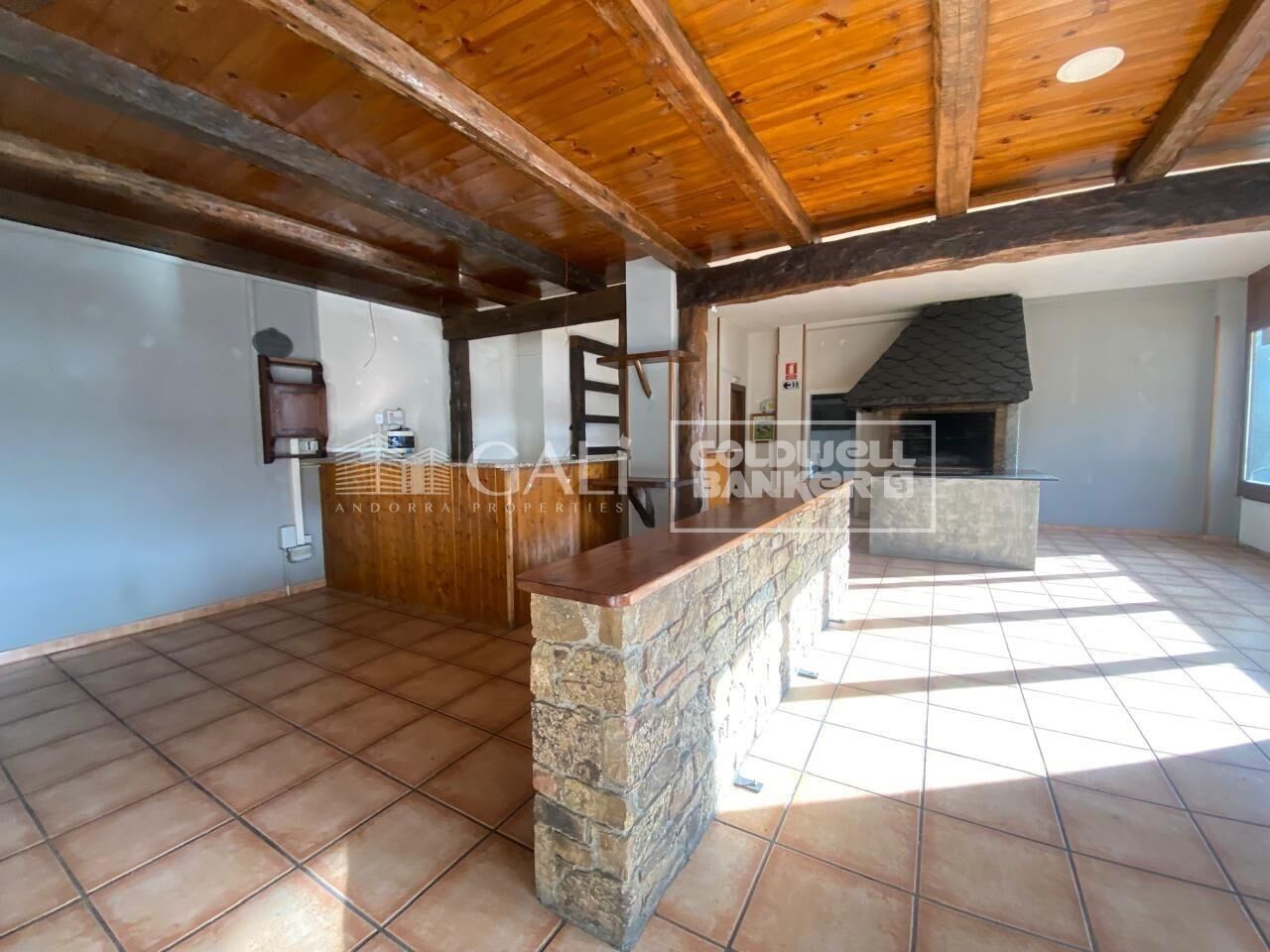 Commercial property à Principado De Andorra (Ninguna Poblacion Tiene C.P.), Lleida, Espagne 170 m2 No. 179214