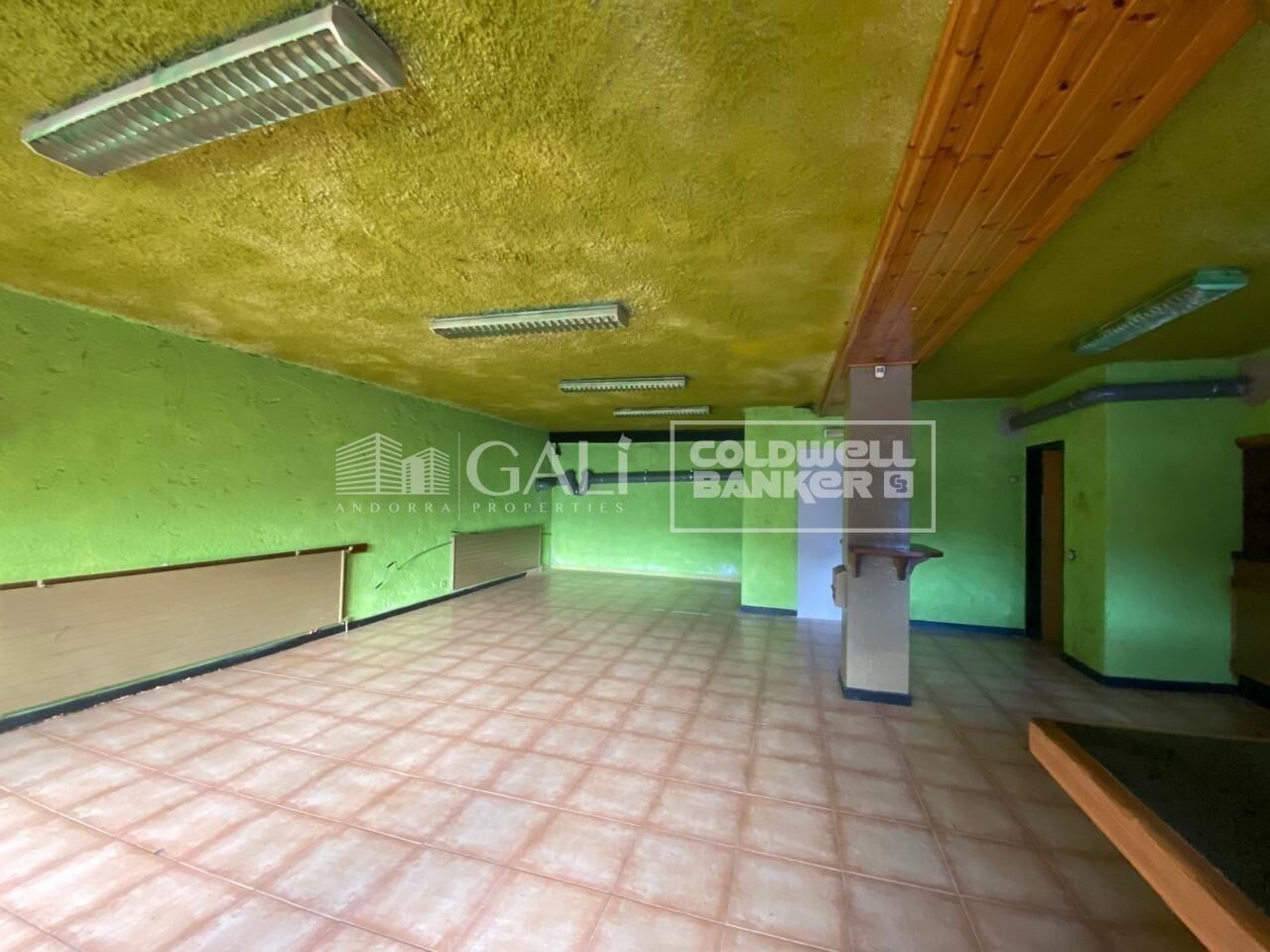 Commercial property à Principado De Andorra (Ninguna Poblacion Tiene C.P.), Lleida, Espagne 170 m2 No. 179214