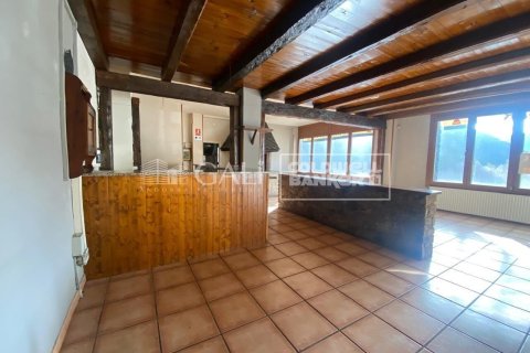 Commercial property à Principado De Andorra (Ninguna Poblacion Tiene C.P.), Lleida, Espagne 170 m2 No. 179214