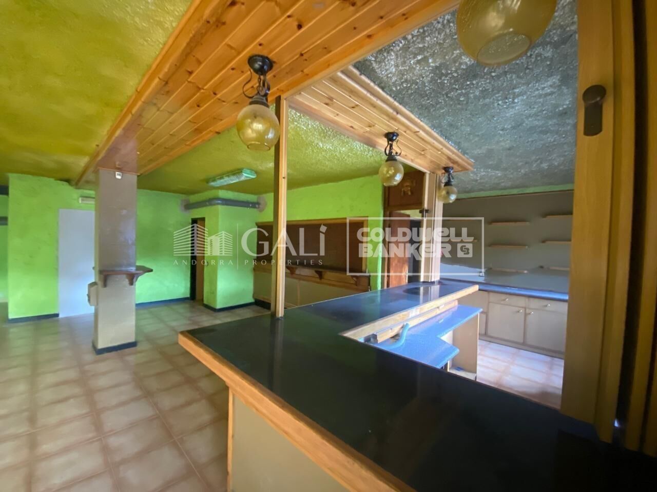 Commercial property à Principado De Andorra (Ninguna Poblacion Tiene C.P.), Lleida, Espagne 170 m2 No. 179214
