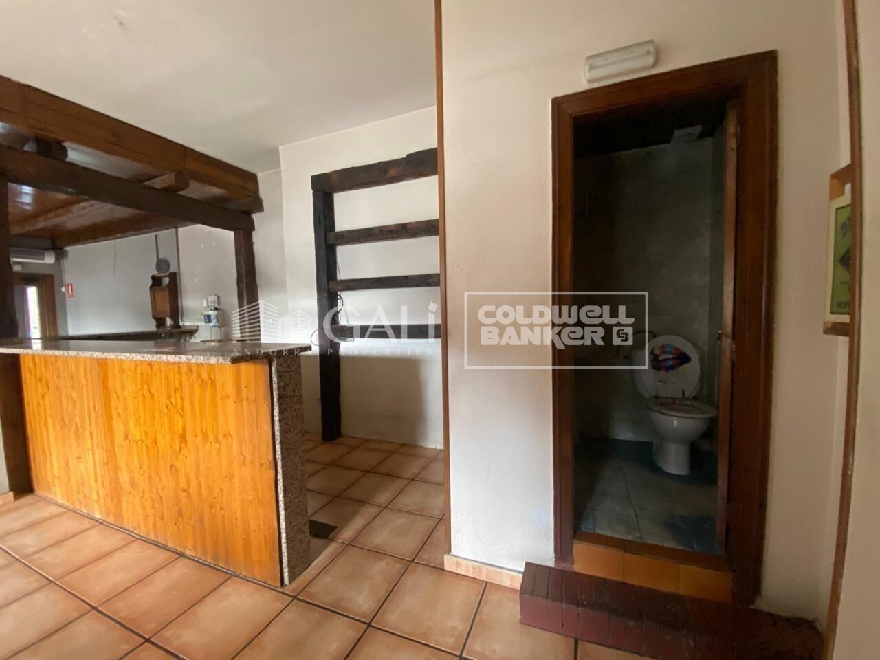 Commercial property à Principado De Andorra (Ninguna Poblacion Tiene C.P.), Lleida, Espagne 170 m2 No. 179214