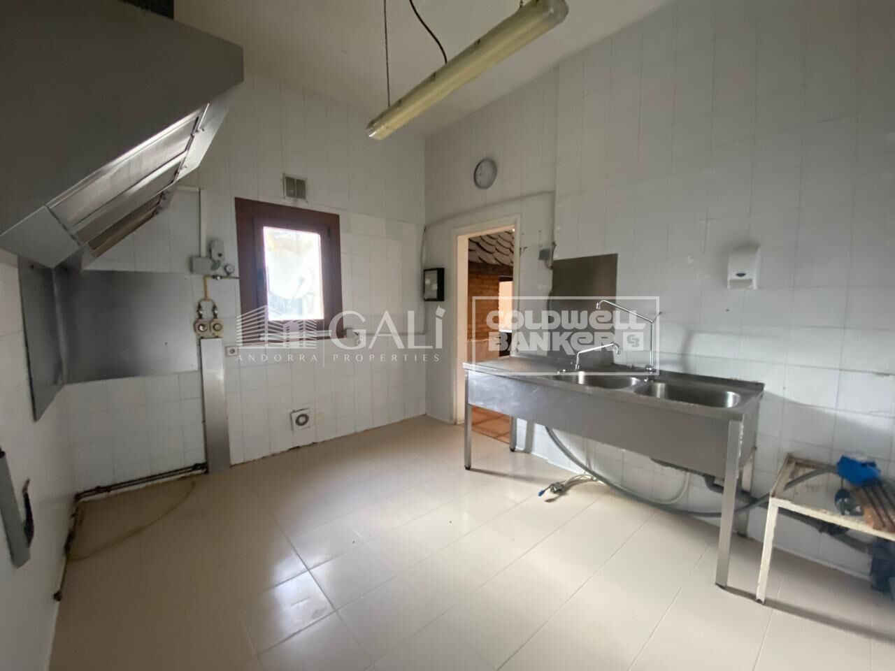 Commercial property à Principado De Andorra (Ninguna Poblacion Tiene C.P.), Lleida, Espagne 170 m2 No. 179214
