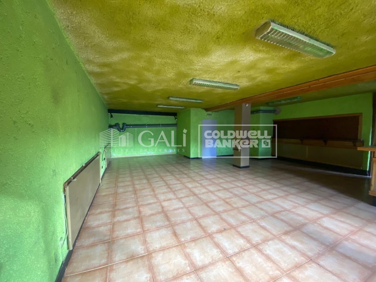 Commercial property à Principado De Andorra (Ninguna Poblacion Tiene C.P.), Lleida, Espagne 170 m2 No. 179214