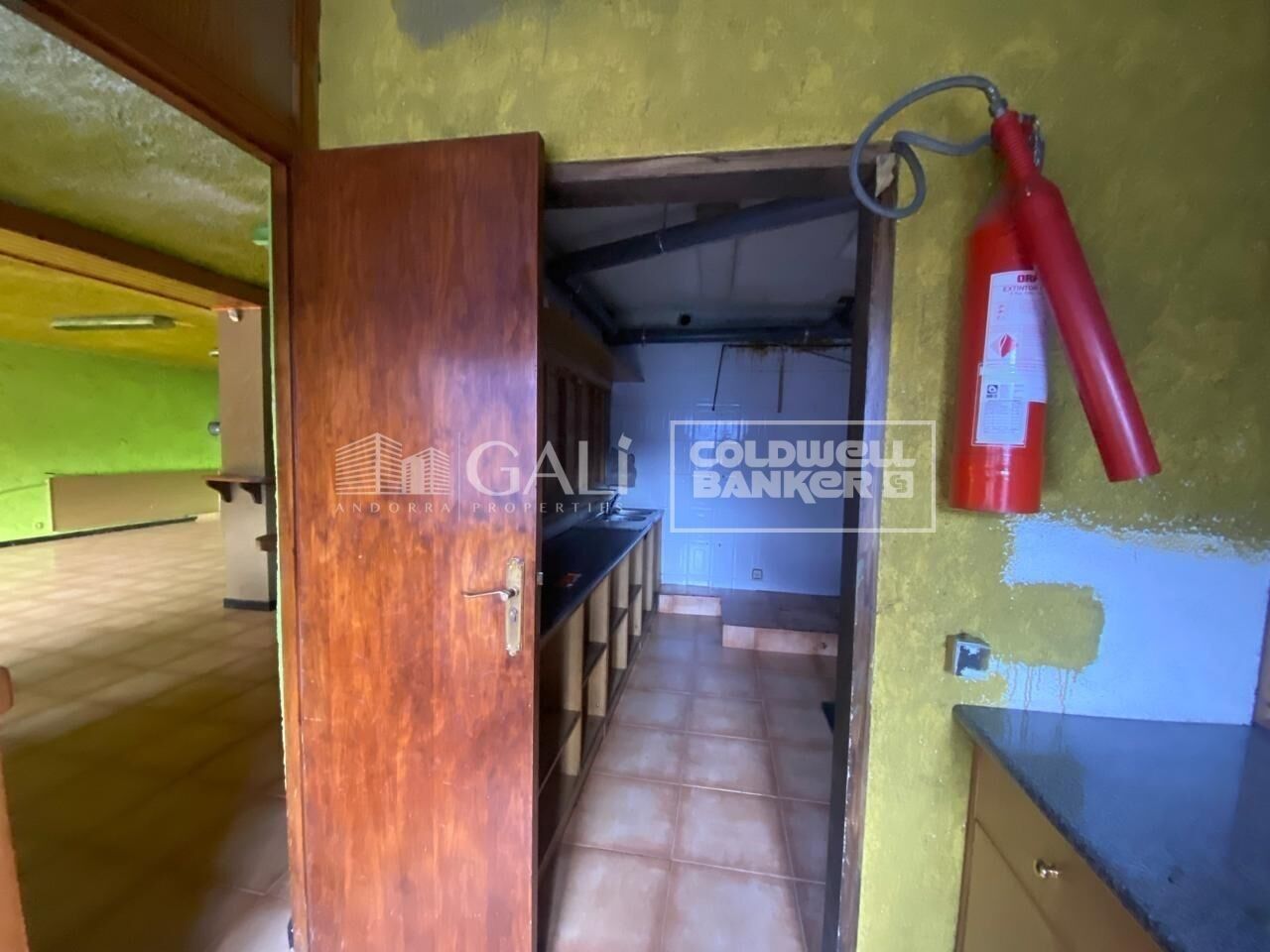 Commercial property à Principado De Andorra (Ninguna Poblacion Tiene C.P.), Lleida, Espagne 170 m2 No. 179214