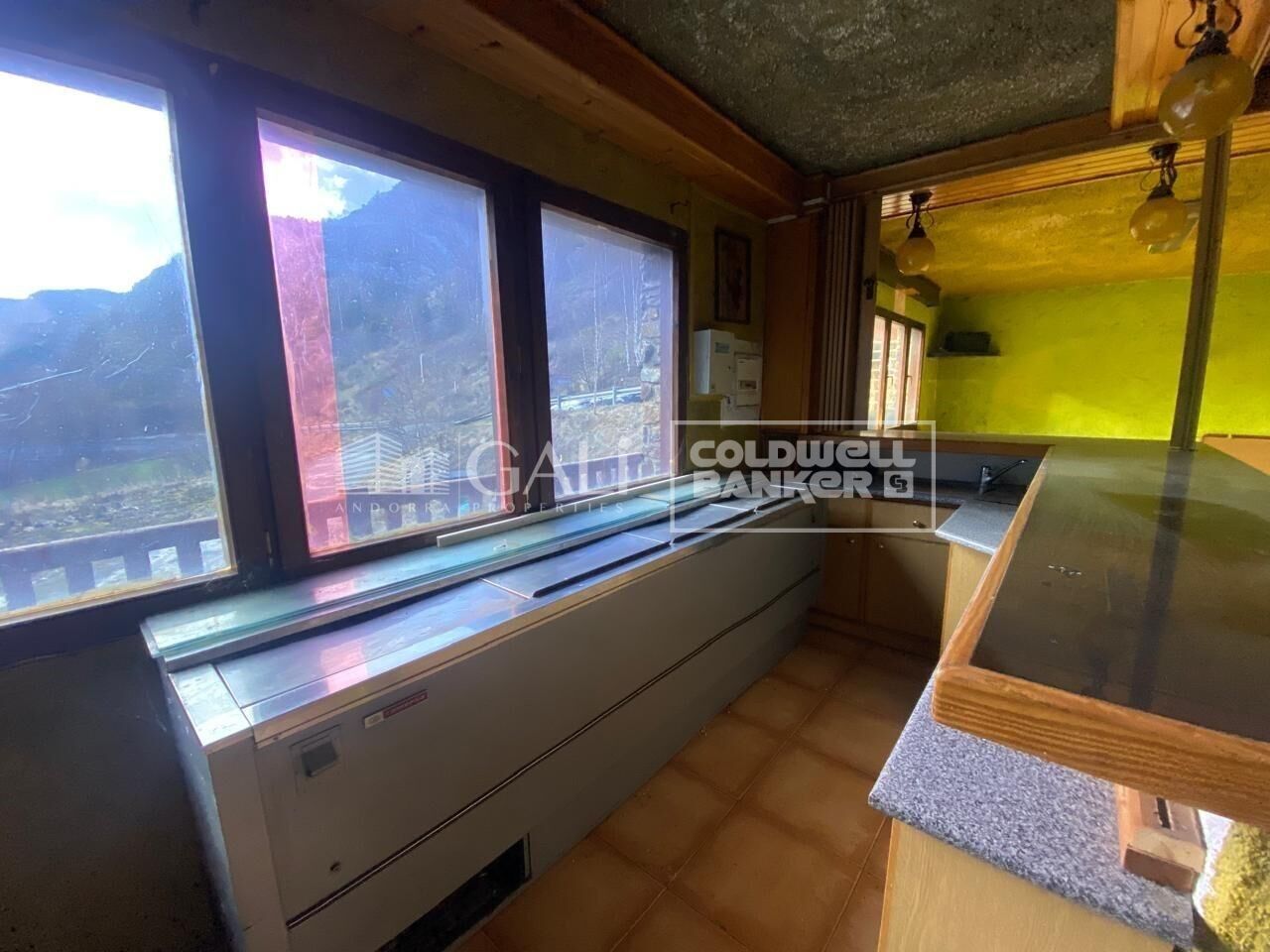 Commercial property à Principado De Andorra (Ninguna Poblacion Tiene C.P.), Lleida, Espagne 170 m2 No. 179214