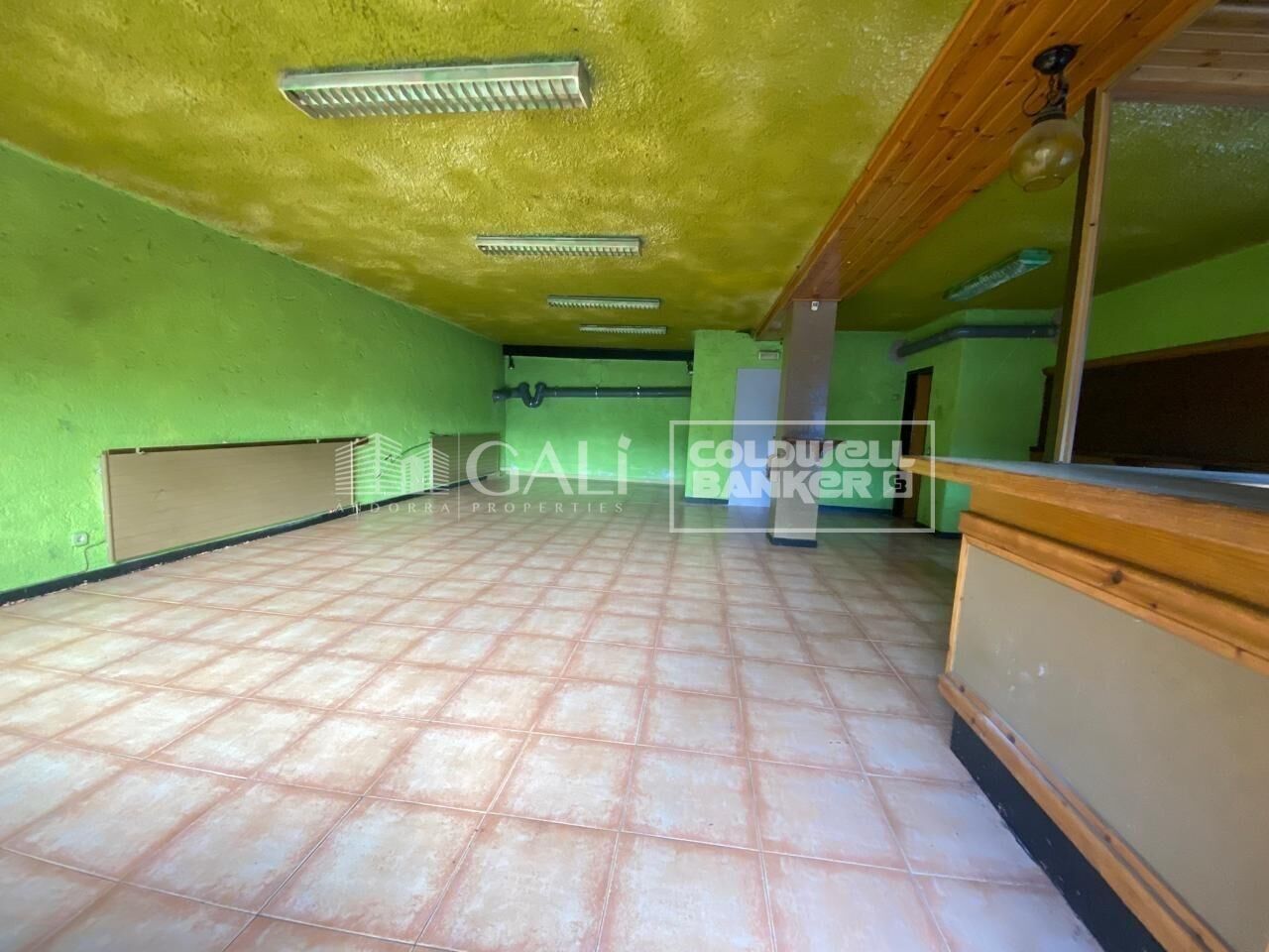 Commercial property à Principado De Andorra (Ninguna Poblacion Tiene C.P.), Lleida, Espagne 170 m2 No. 179214