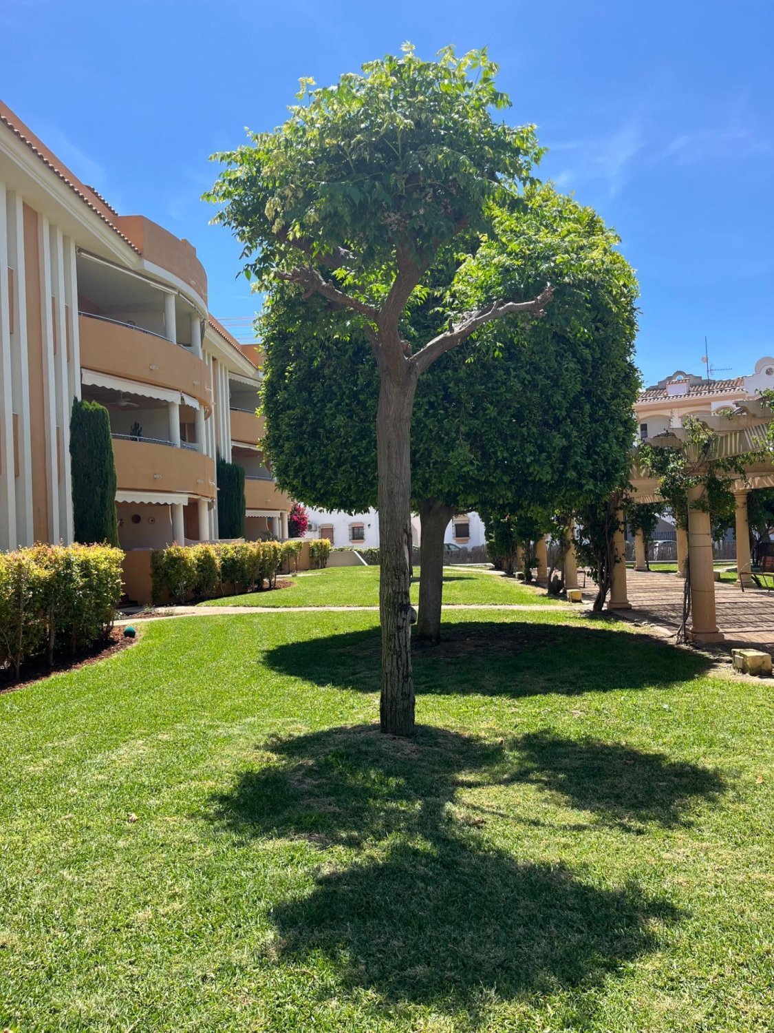 Dzīvoklis Denia, Alicante, Spānijā 2 istabas, 75 m2 Nr. 168088