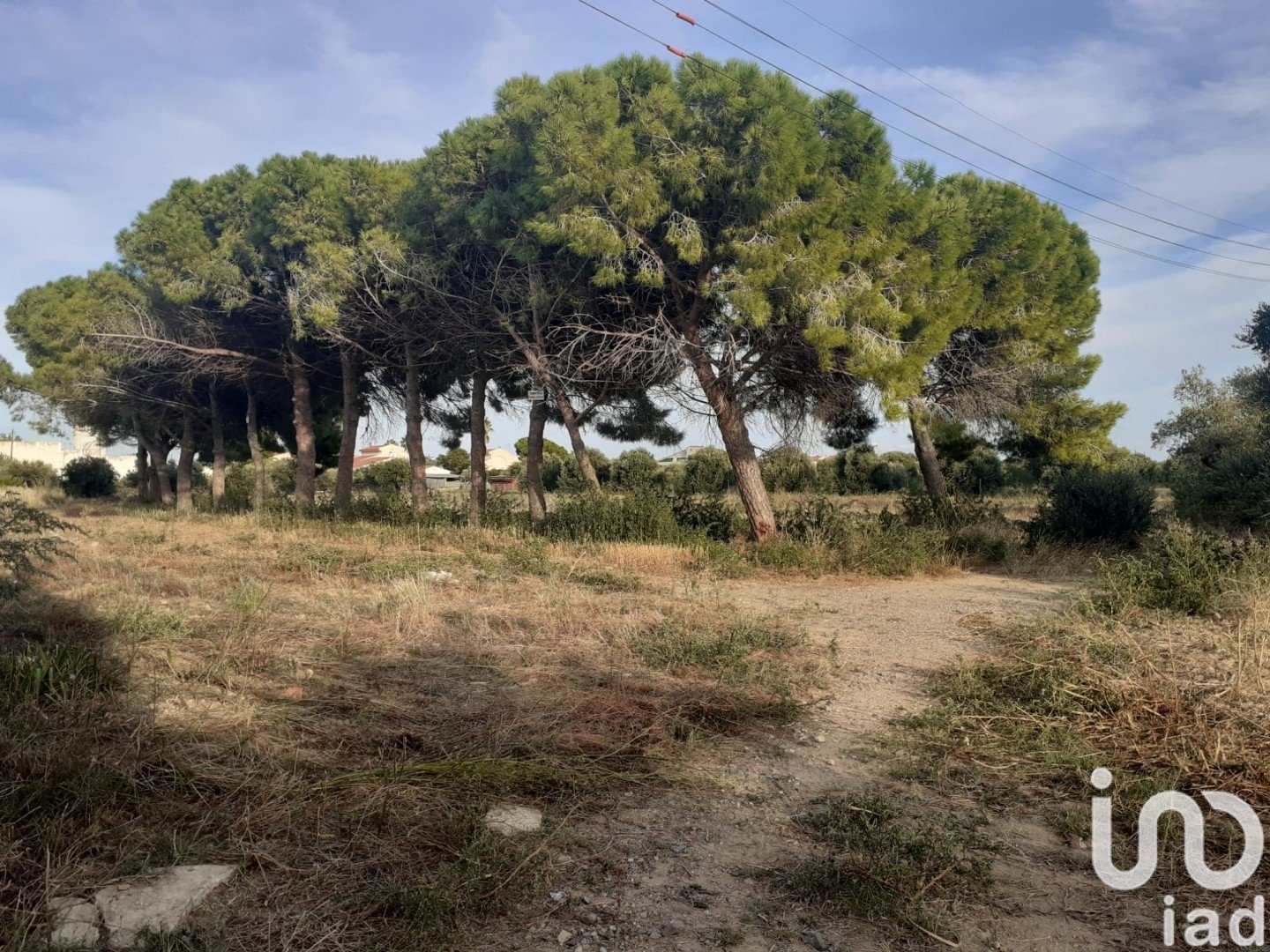 Land plot à Cambrils, Tarragona, Espagne 21004 m2 No. 173374