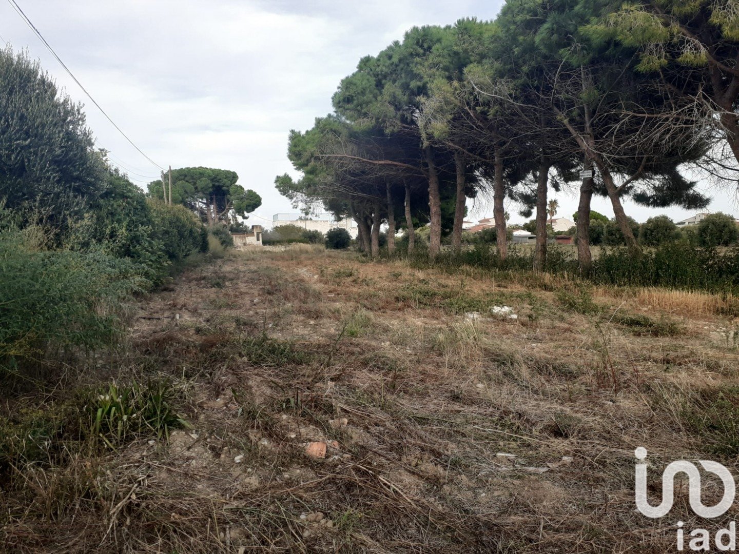 Land plot à Cambrils, Tarragona, Espagne 21004 m2 No. 173374