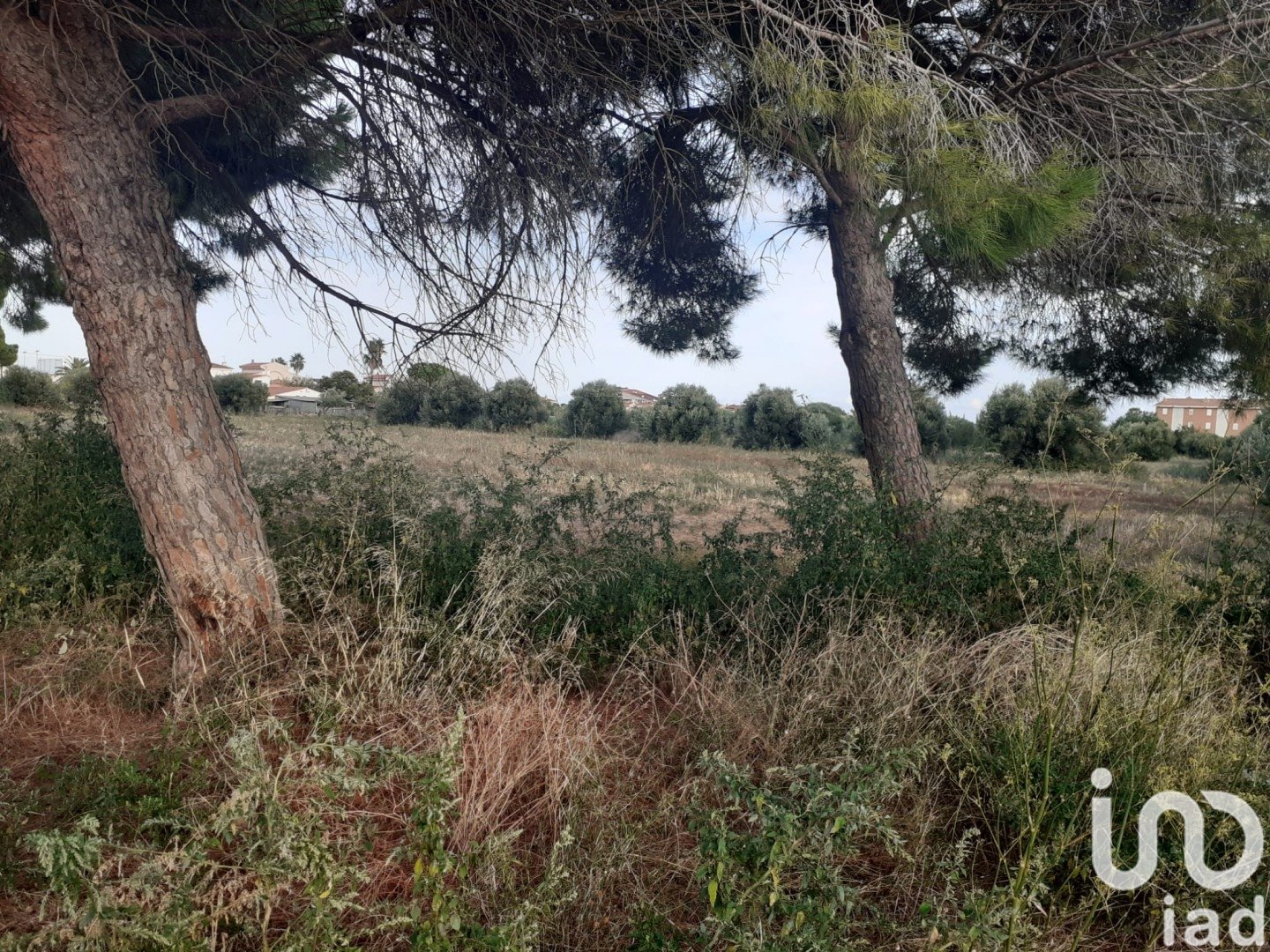 Land plot à Cambrils, Tarragona, Espagne 21004 m2 No. 173374