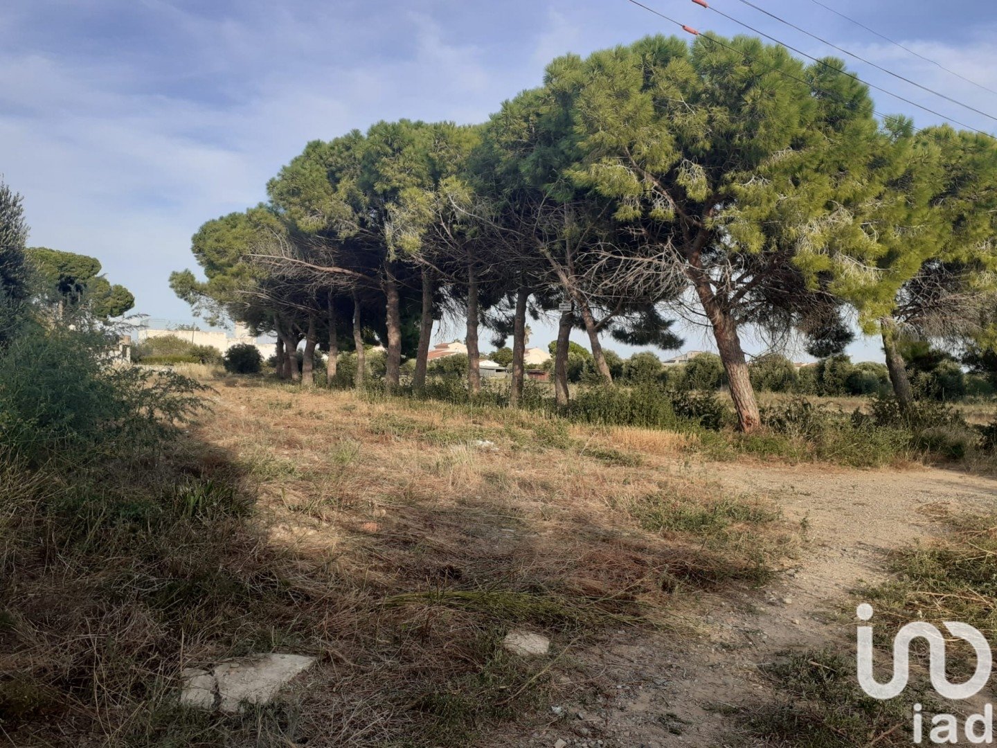 Land plot à Cambrils, Tarragona, Espagne 21004 m2 No. 173374