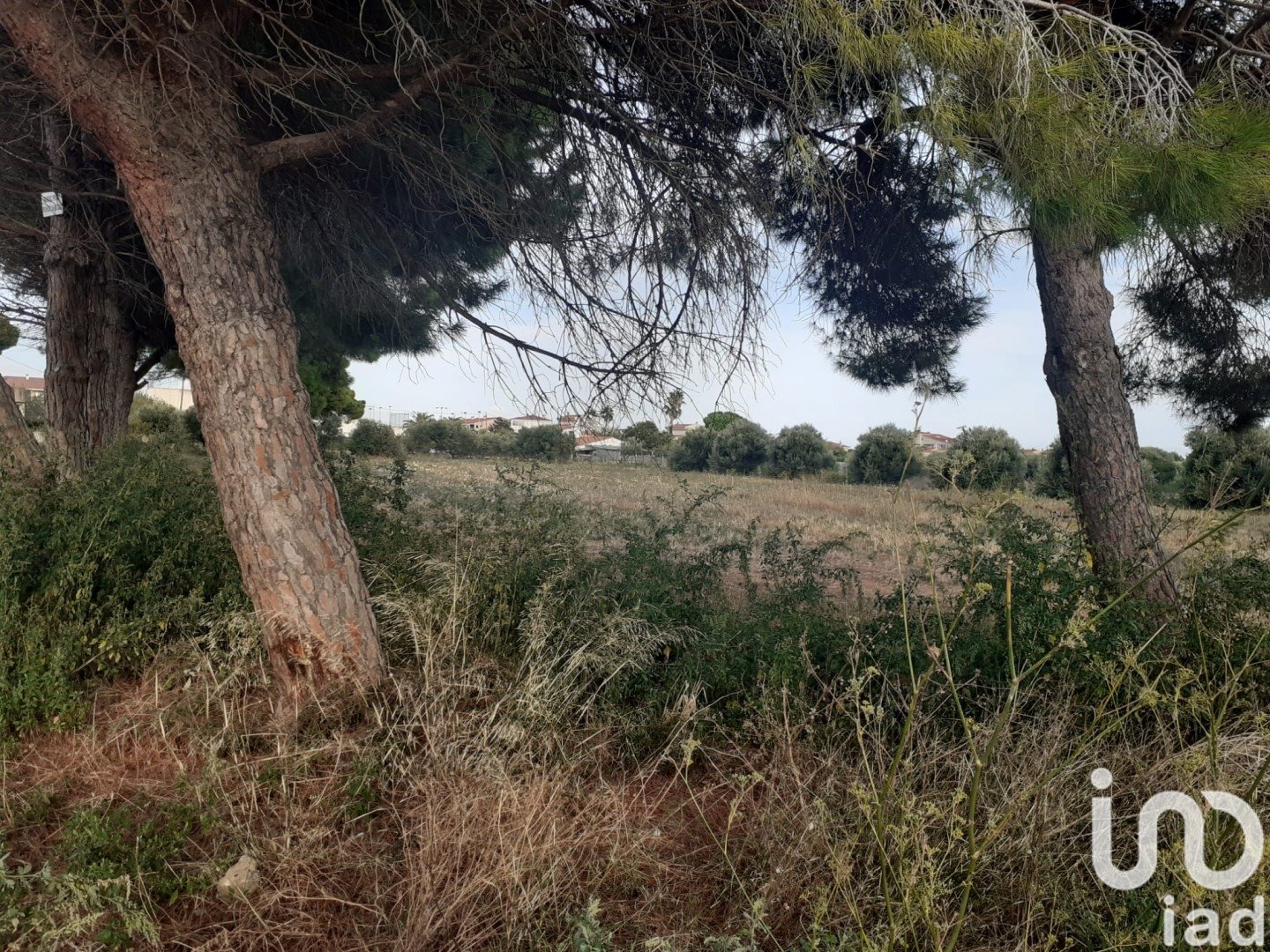 Land plot à Cambrils, Tarragona, Espagne 21004 m2 No. 173374