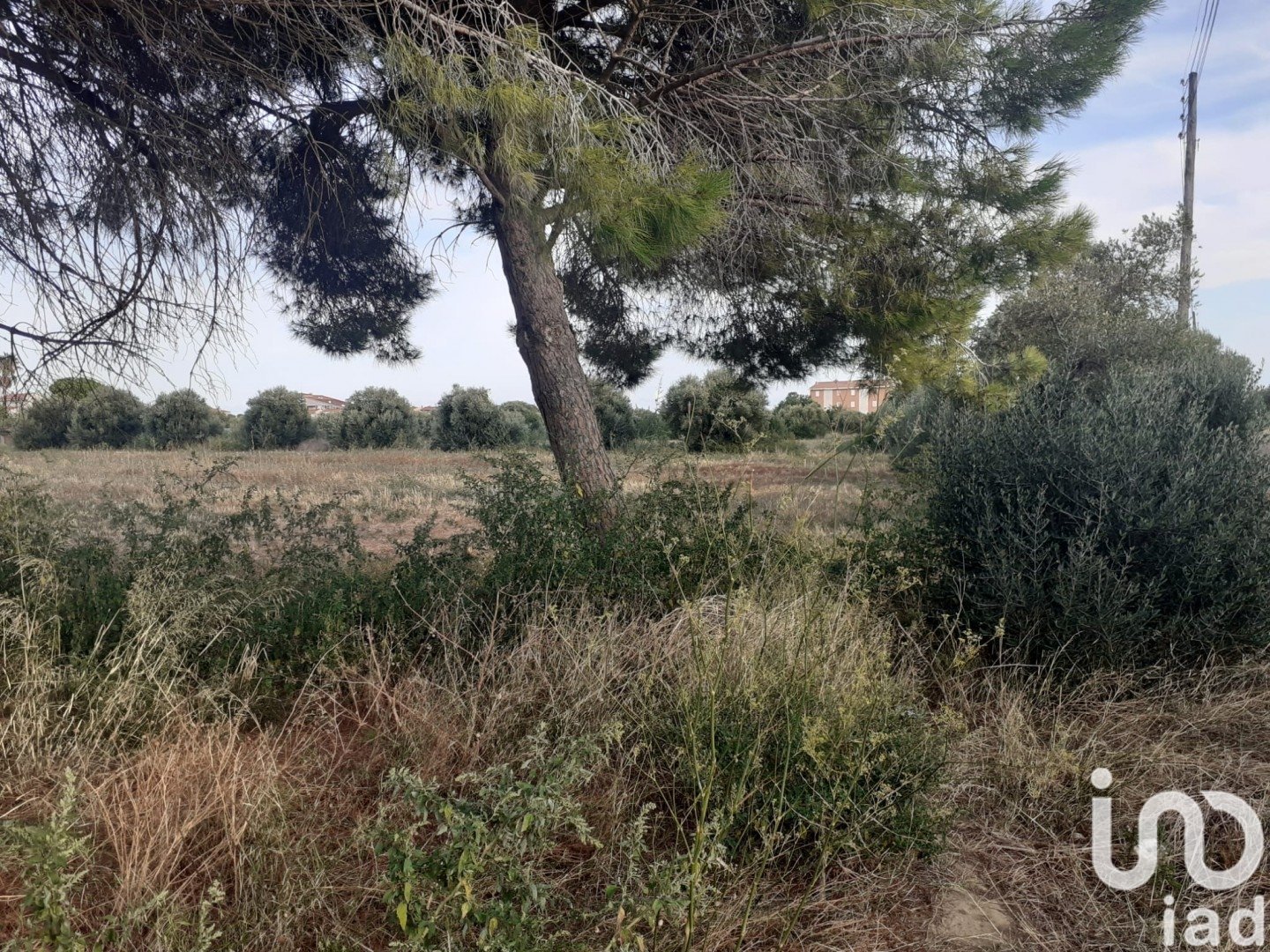 Land plot à Cambrils, Tarragona, Espagne 21004 m2 No. 173374