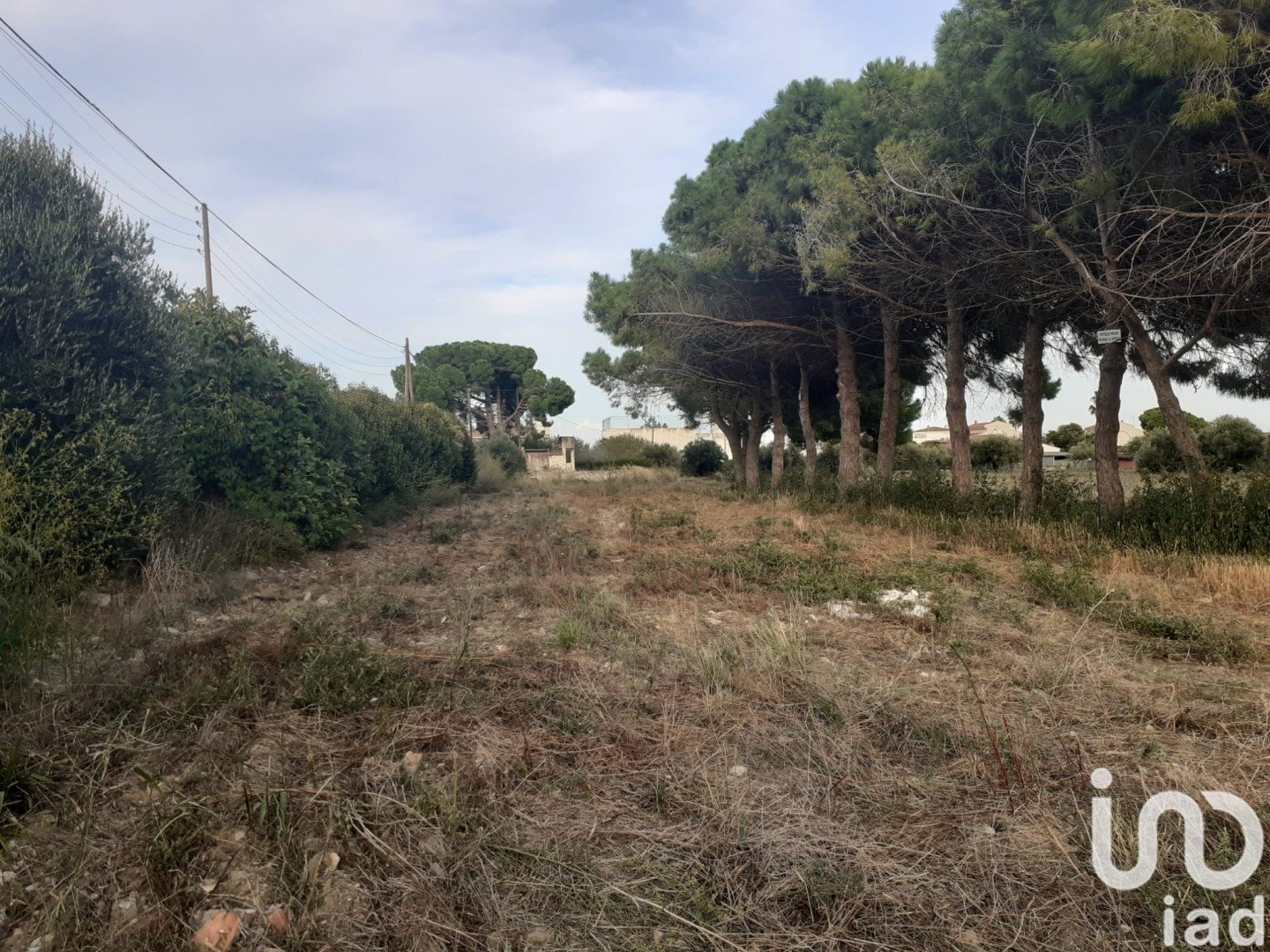 Land plot à Cambrils, Tarragona, Espagne 21004 m2 No. 173374