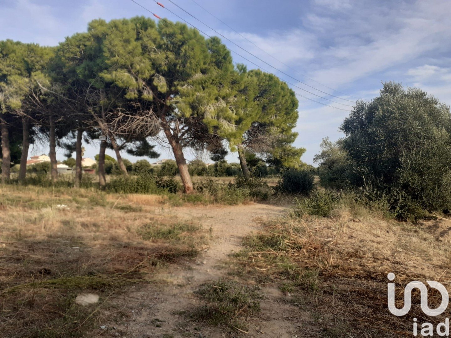 Land plot à Cambrils, Tarragona, Espagne 21004 m2 No. 173374