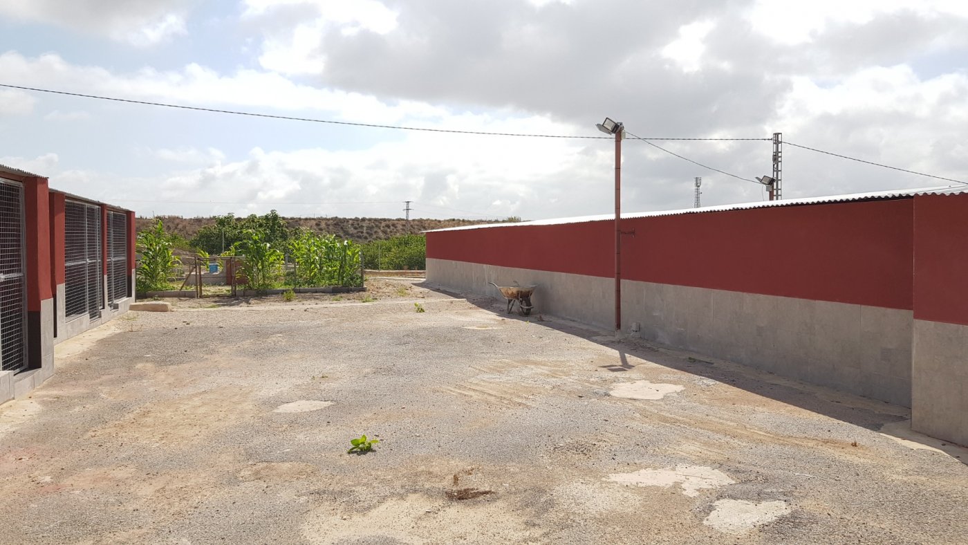 Finca Los Montesinos, Alicante, Spānijā 2 istabas, 253 m2 Nr. 189207