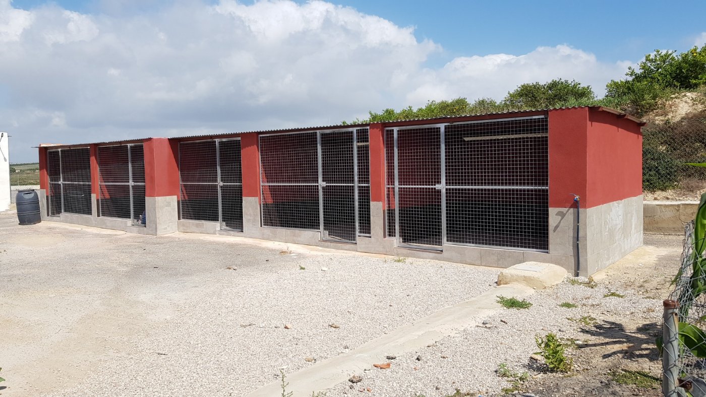 Finca Los Montesinos, Alicante, Spānijā 2 istabas, 253 m2 Nr. 189207