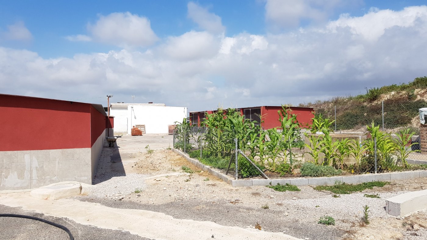 Finca Los Montesinos, Alicante, Spānijā 2 istabas, 253 m2 Nr. 189207