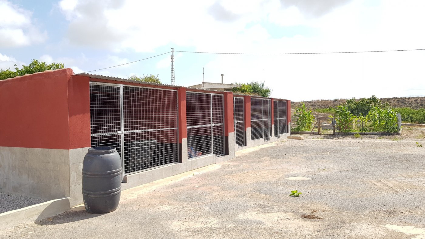 Finca Los Montesinos, Alicante, Spānijā 2 istabas, 253 m2 Nr. 189207