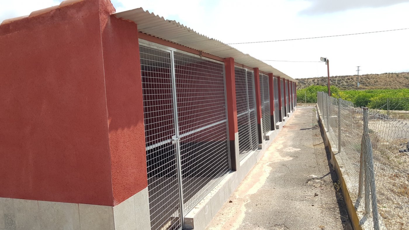 Finca Los Montesinos, Alicante, Spānijā 2 istabas, 253 m2 Nr. 189207