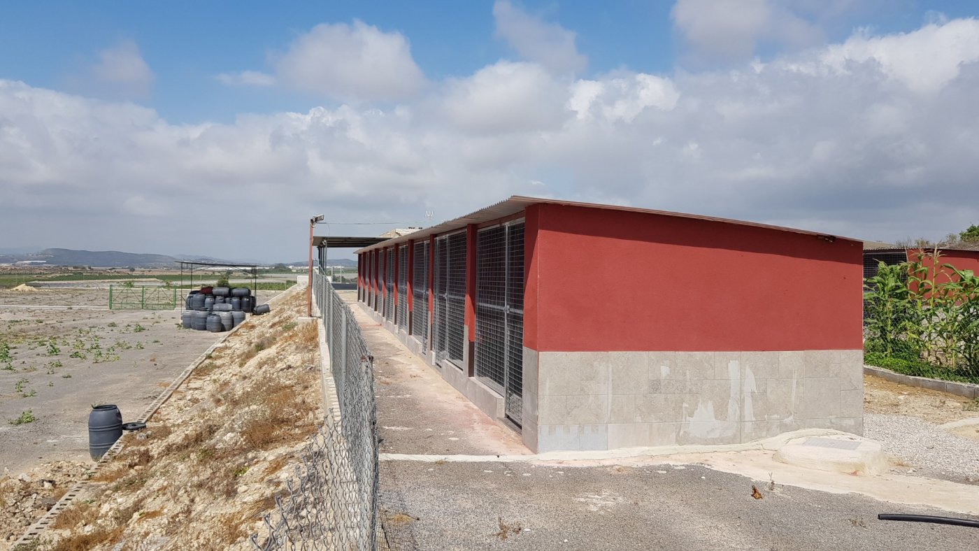 Finca Los Montesinos, Alicante, Spānijā 2 istabas, 253 m2 Nr. 189207