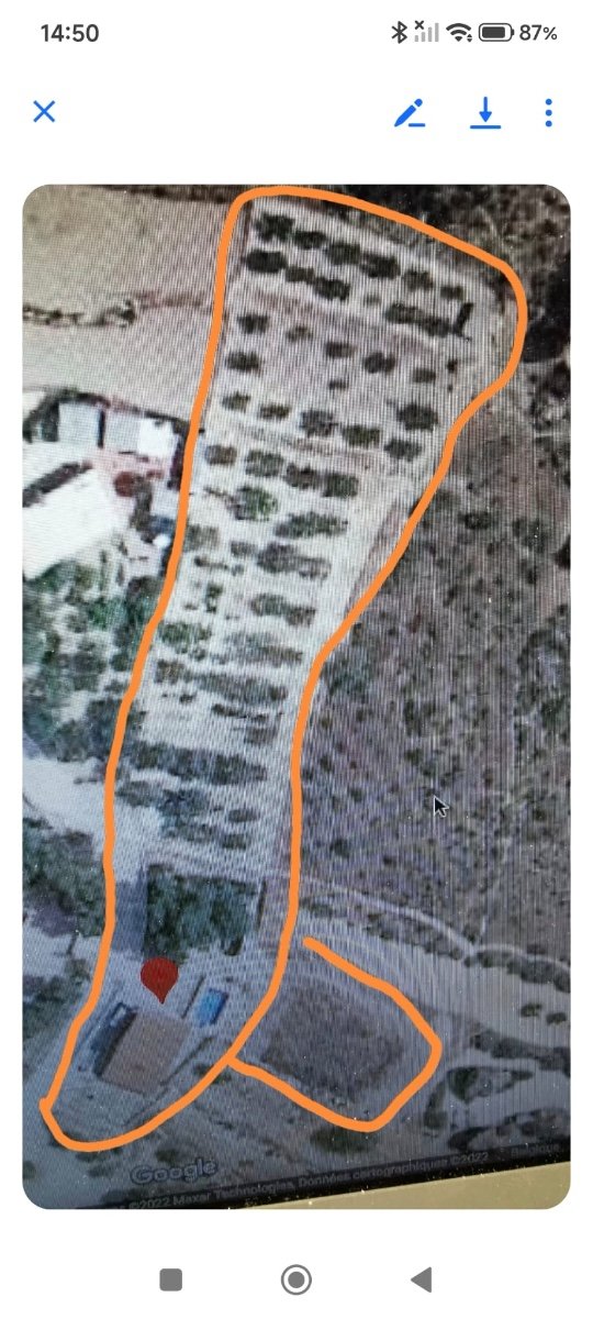 Finca Barrio De La Estacion De Crevillente, Alicante, Spānijā 4 istabas, 150 m2 Nr. 189866