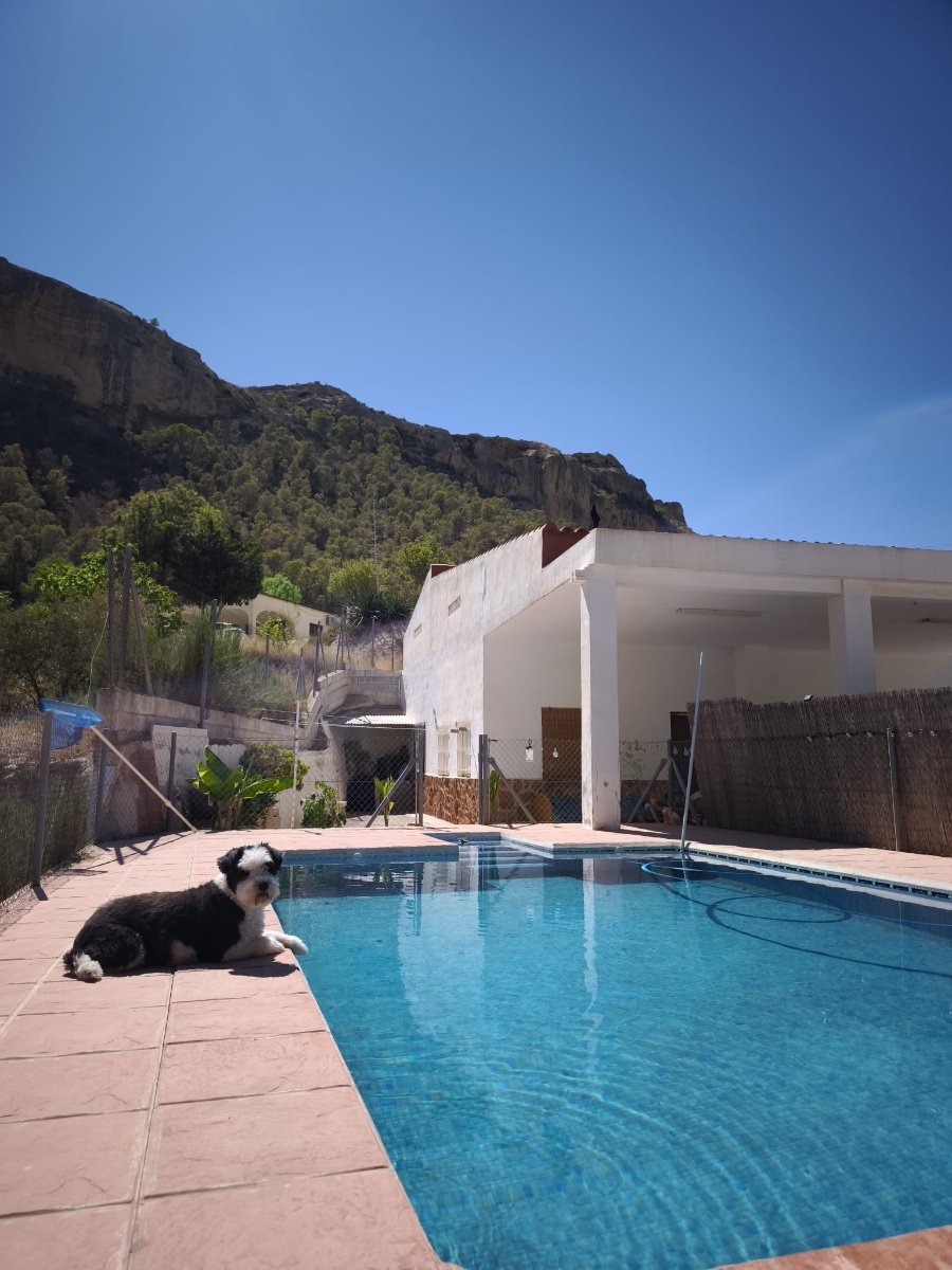 Finca Barrio De La Estacion De Crevillente, Alicante, Spānijā 4 istabas, 150 m2 Nr. 189866