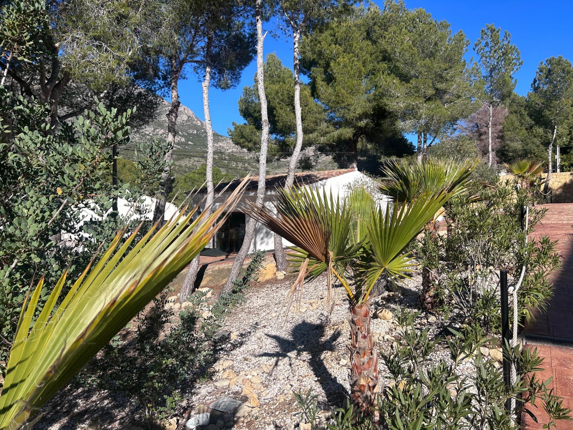 Hotelli Finestrat, Alicante, Espanja 12 makuuhuonetta, 800 m2 No. 149199
