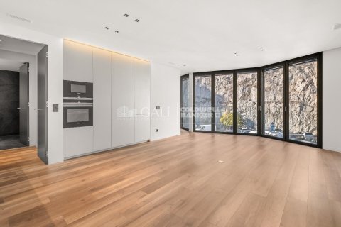 Apartment à Principado De Andorra (Ninguna Poblacion Tiene C.P.), Lleida, Espagne 3 chambres, 110 m2 No. 160069