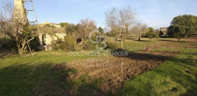 House à Arta, Mallorca, Espagne 5 chambres, 501 m2 No. 160066