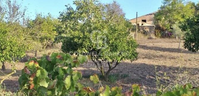 House à Arta, Mallorca, Espagne 5 chambres, 501 m2 No. 160066