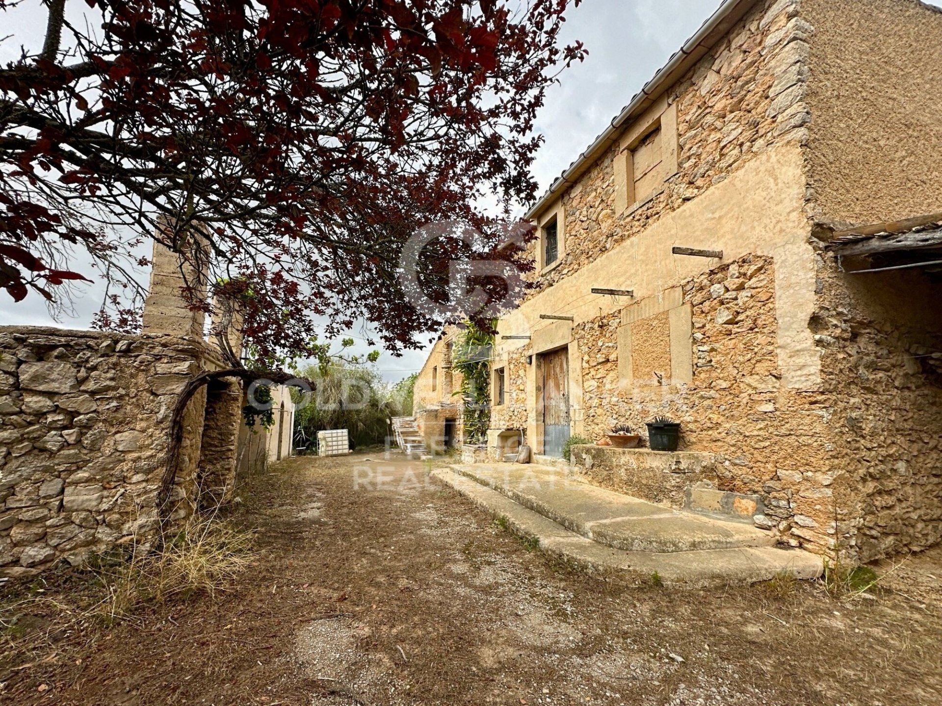House à Arta, Mallorca, Espagne 5 chambres, 501 m2 No. 160066