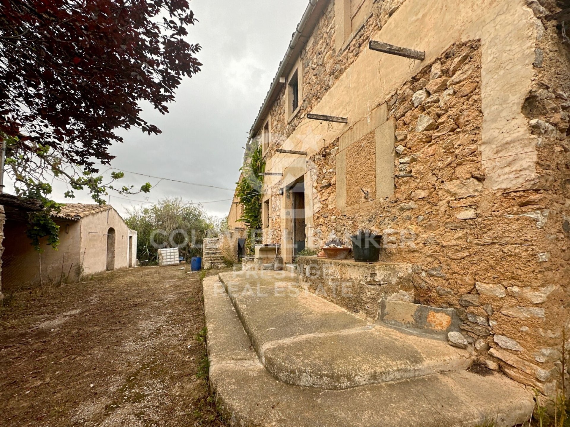 House à Arta, Mallorca, Espagne 5 chambres, 501 m2 No. 160066