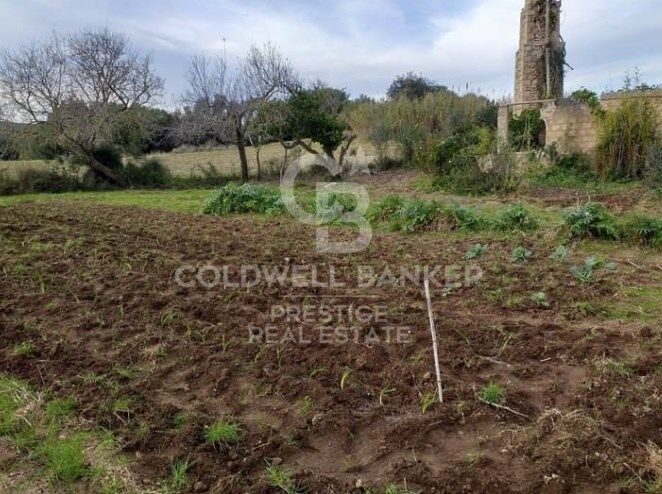 House à Arta, Mallorca, Espagne 5 chambres, 501 m2 No. 160066