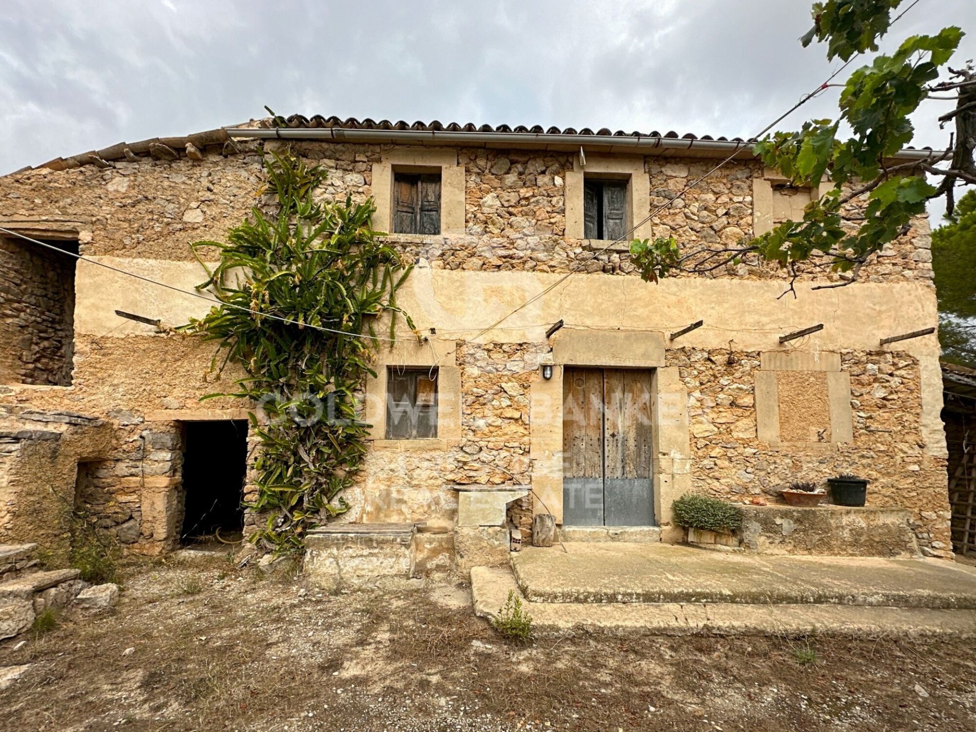 House à Arta, Mallorca, Espagne 5 chambres, 501 m2 No. 160066