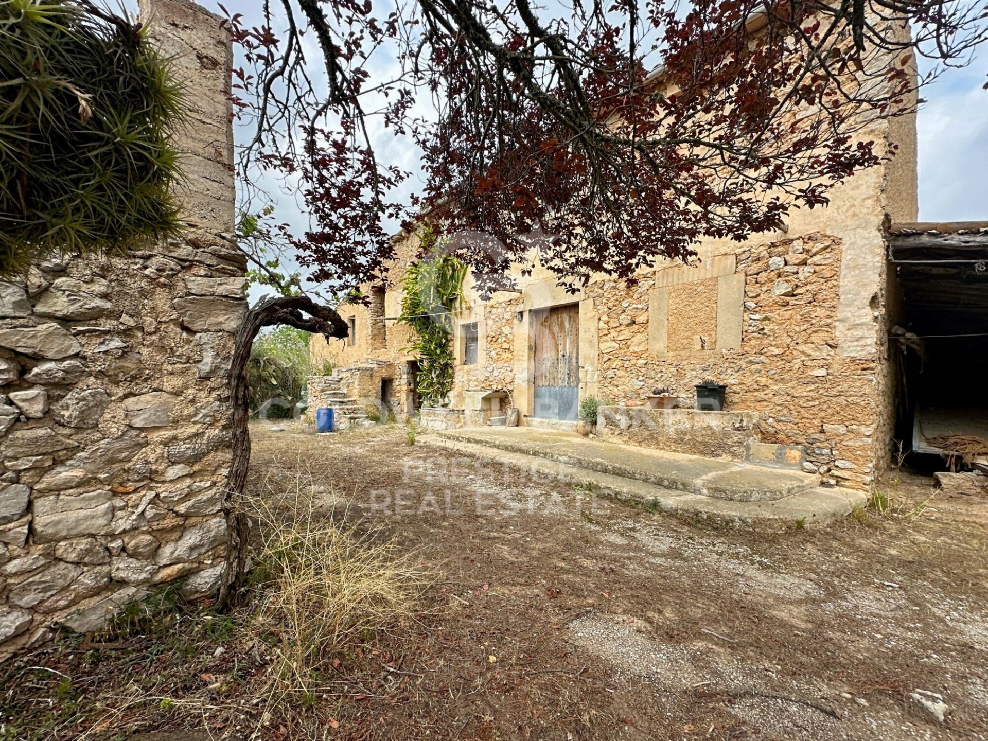 House à Arta, Mallorca, Espagne 5 chambres, 501 m2 No. 160066