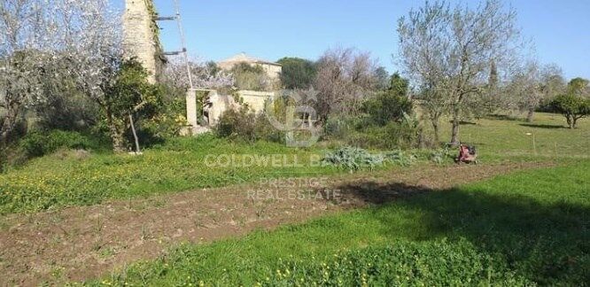 House à Arta, Mallorca, Espagne 5 chambres, 501 m2 No. 160066