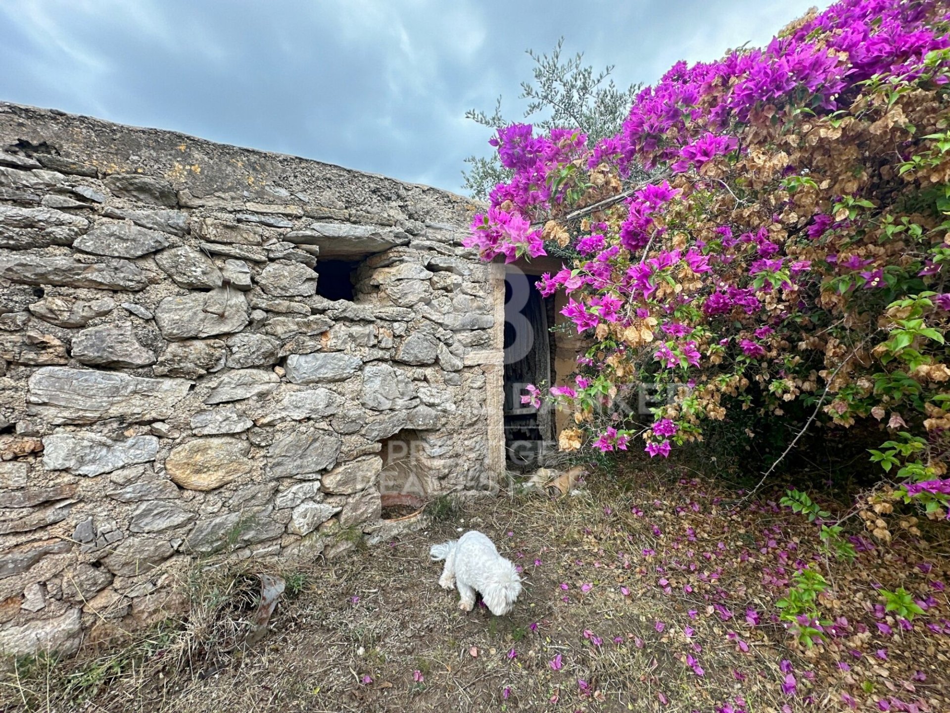 House à Arta, Mallorca, Espagne 5 chambres, 501 m2 No. 160066