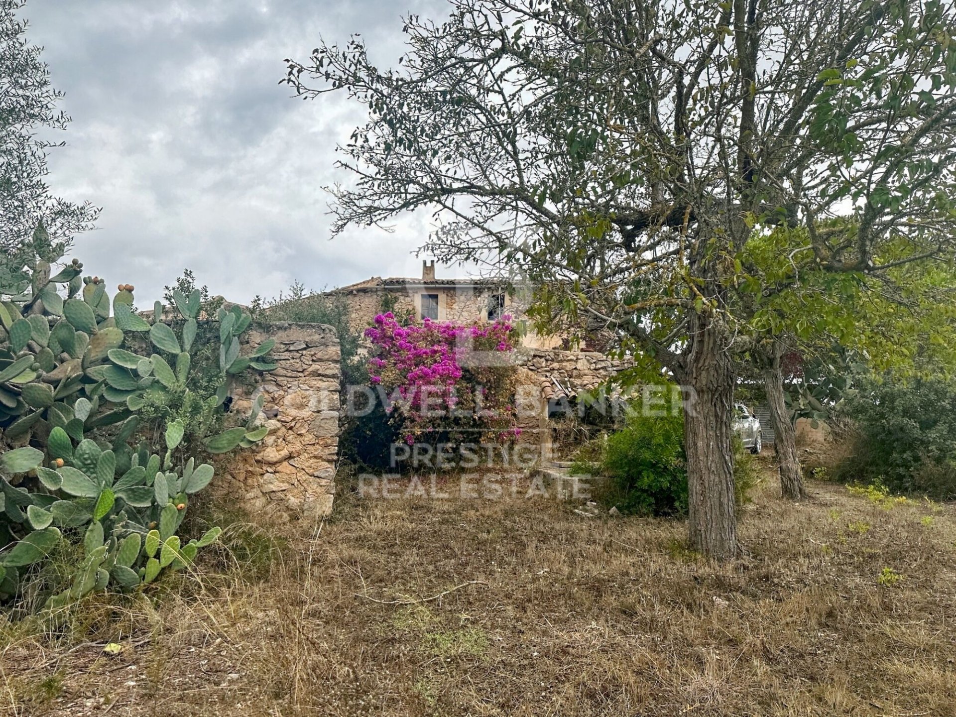 House à Arta, Mallorca, Espagne 5 chambres, 501 m2 No. 160066