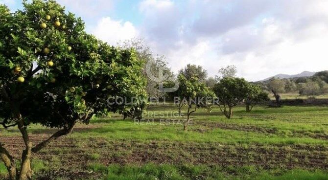 House à Arta, Mallorca, Espagne 5 chambres, 501 m2 No. 160066