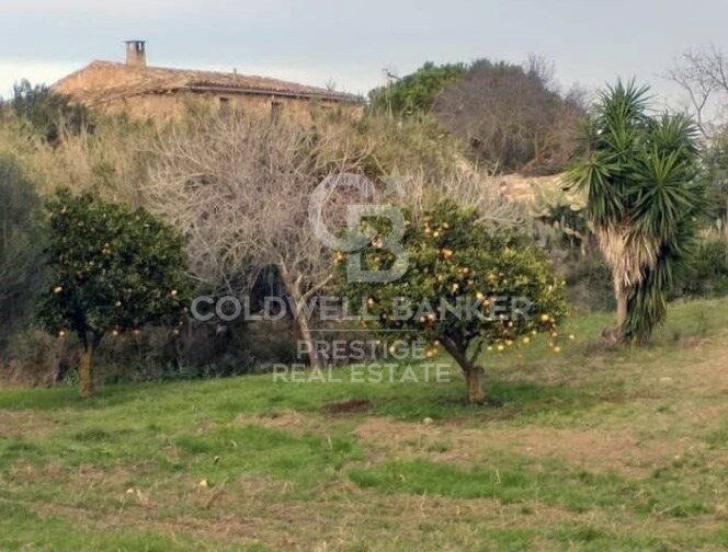 House à Arta, Mallorca, Espagne 5 chambres, 501 m2 No. 160066