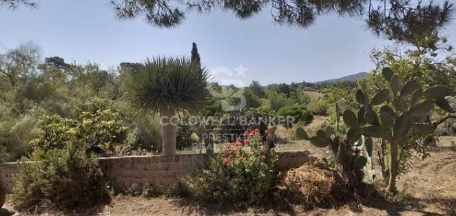 House à Arta, Mallorca, Espagne 5 chambres, 501 m2 No. 160066